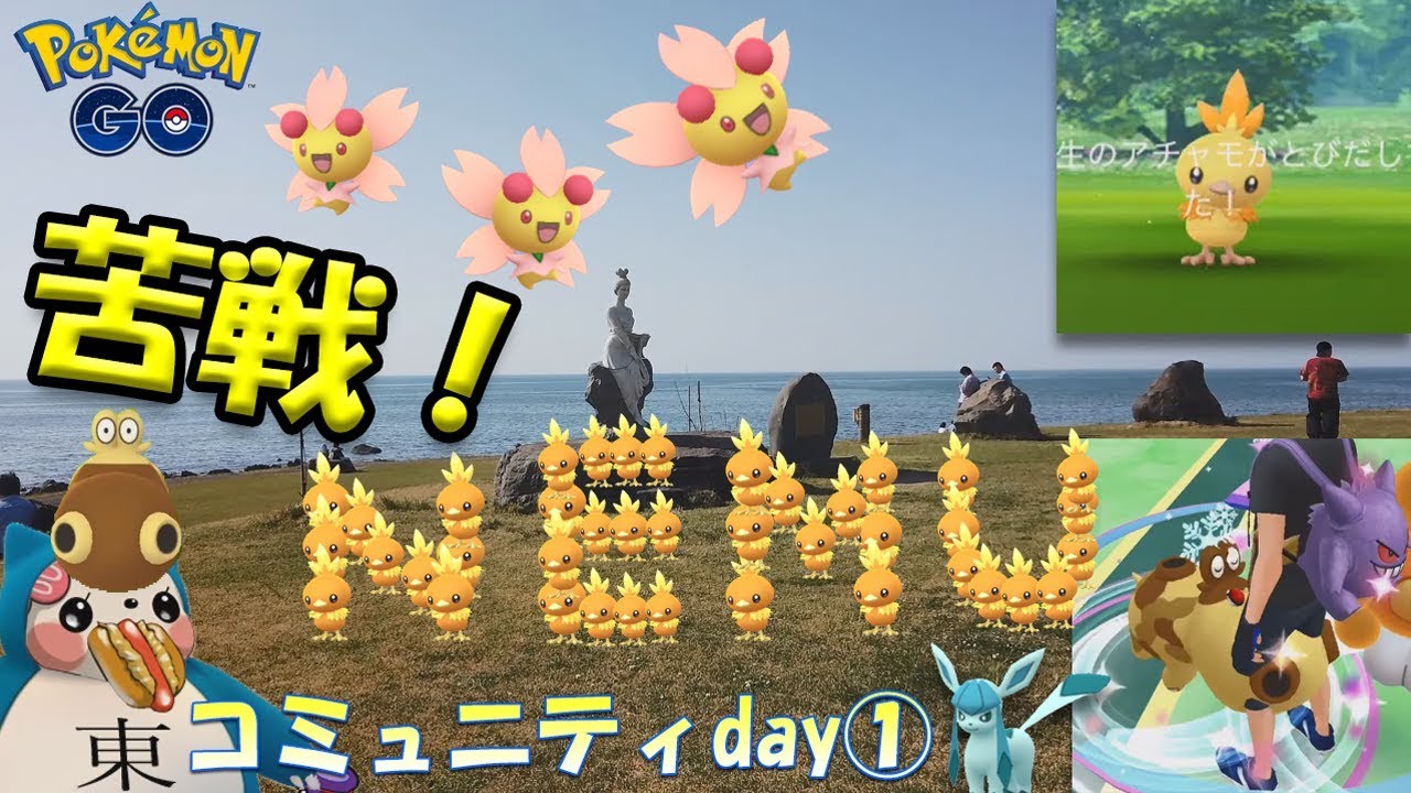 【ポケモンGO】色違いアチャモに大苦戦？コミュニティデイ！ヒポポタスとチェリム図鑑埋め！コミュニティデイ①