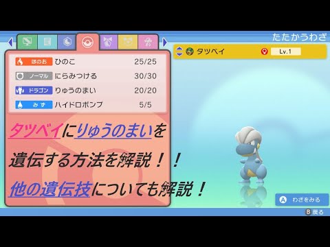 【ポケモン　ダイパリメイク】タツベイにりゅうのまいを遺伝する方法を解説！ハイドロポンプやドラゴンダイブについても！覚えさせ方！【ポケモンBDSP】