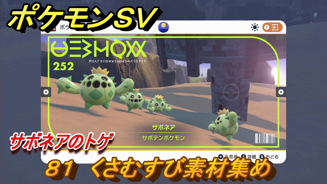 ポケモンＳＶ　わざマシン８１　くさむすび素材集め　サボネアのトゲの入手方法は？　【スカーレット・バイオレット】