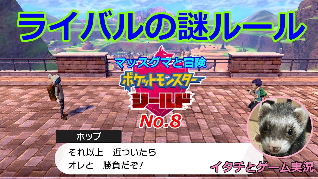 【ポケモン盾】マッスグマと冒険No.8【俺ルール発動】