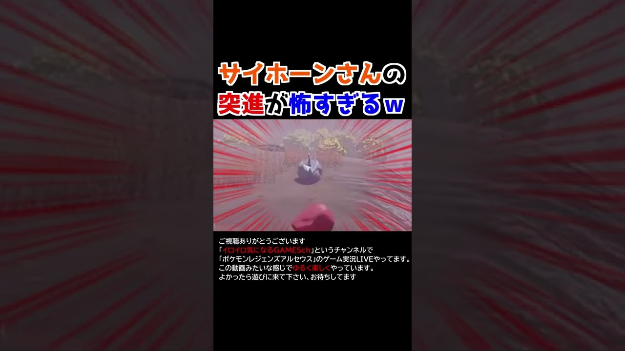 サイホーンさんが魅せた脅威のダッシュｗｗｗ【Pokémon LEGENDS アルセウス】