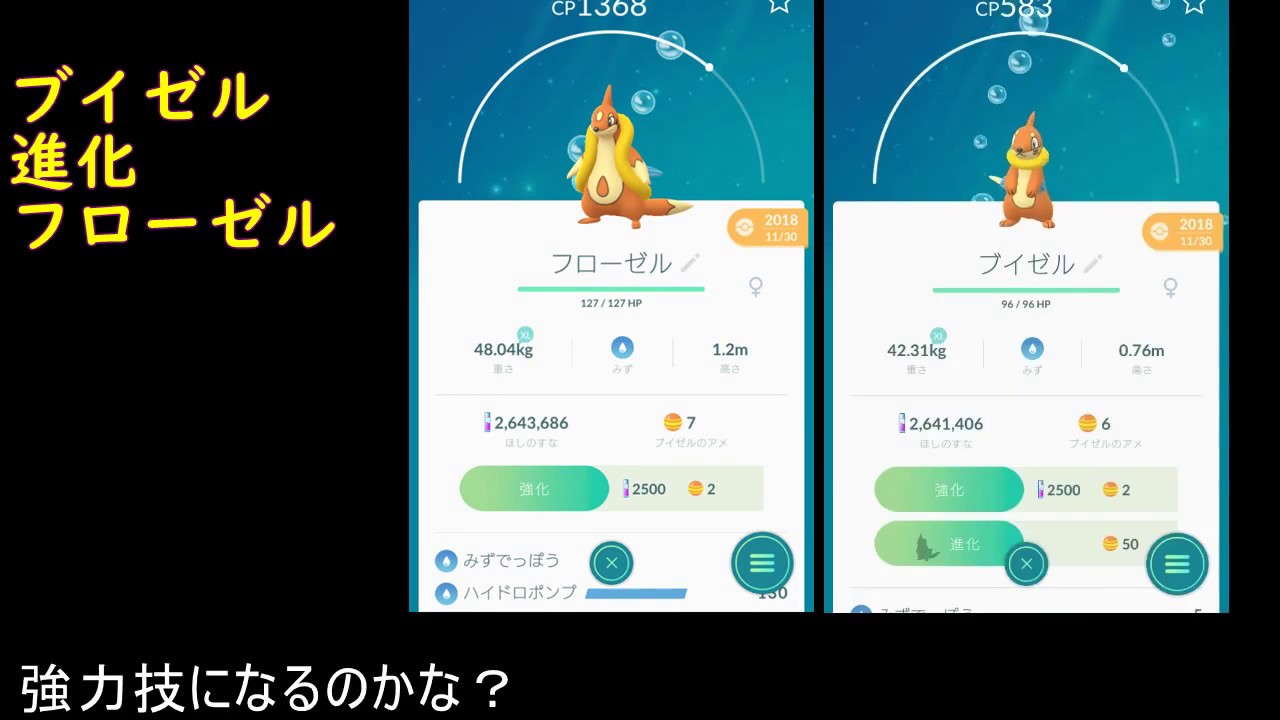 ブイゼル進化フローゼル【ポケモンGO】