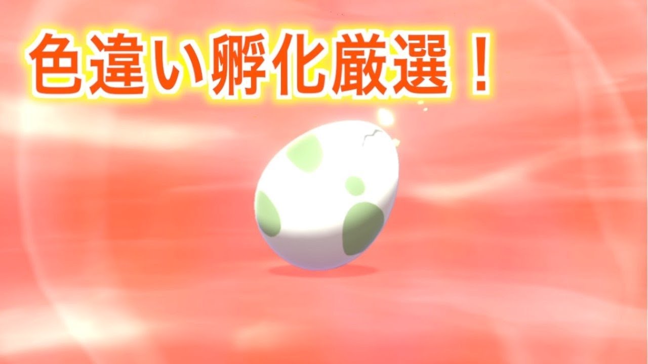 [ポケモン剣盾]ニャビー色孵化厳選！孵化あまり配ります。