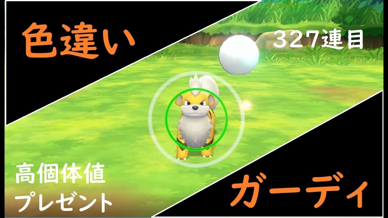 【ピカブイ】色違いガーディに遭遇！？