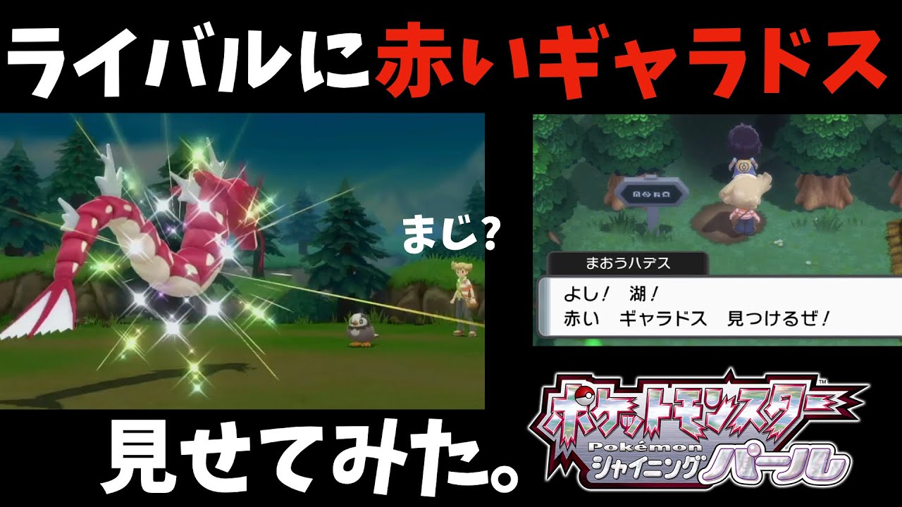 【BDSP】ライバルに赤いギャラドス見せてみた