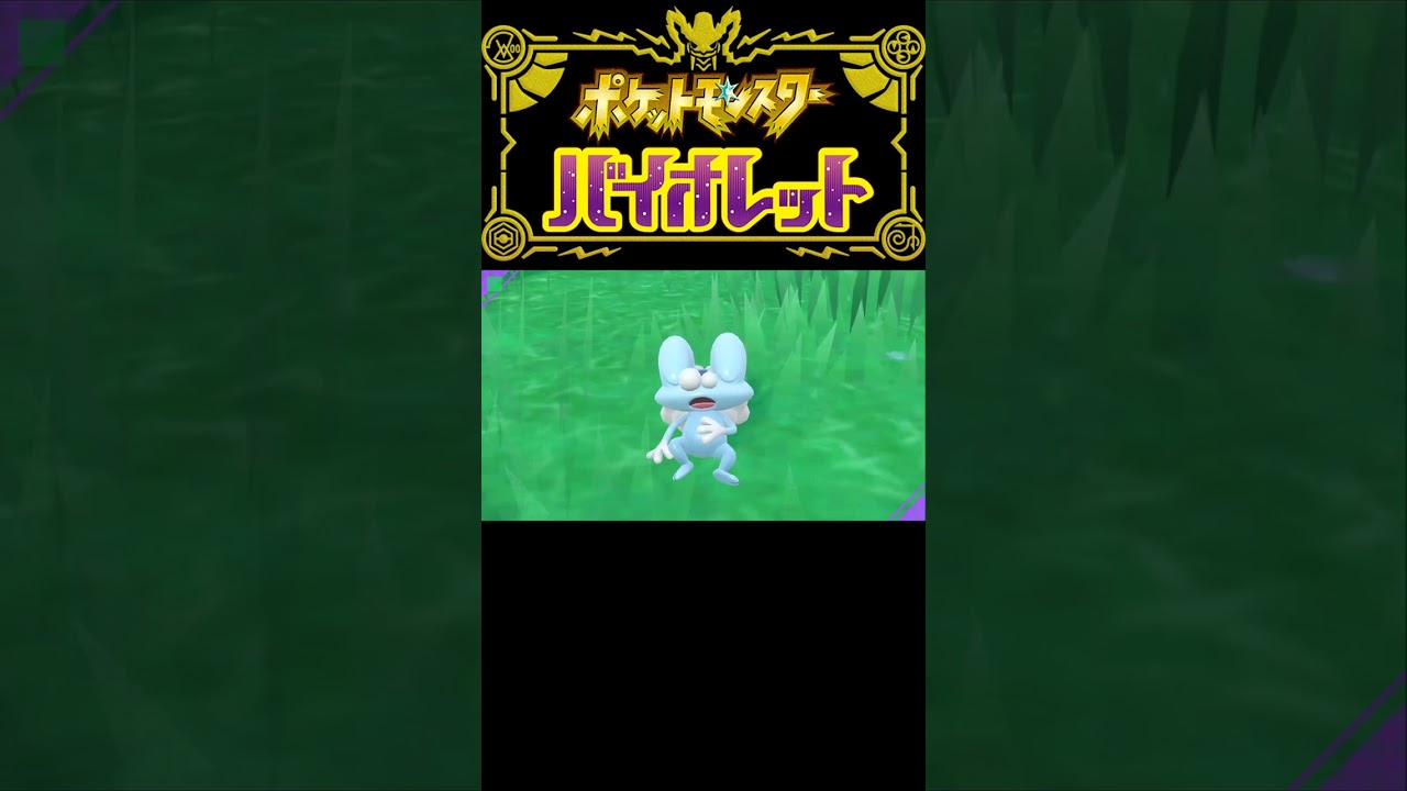 ケロマツの寝姿かわいい（ケロムース膨らむんや） #Shorts #ポケモン #pokemon