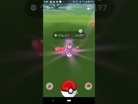 色違いケムッソ ポケモンＧＯ