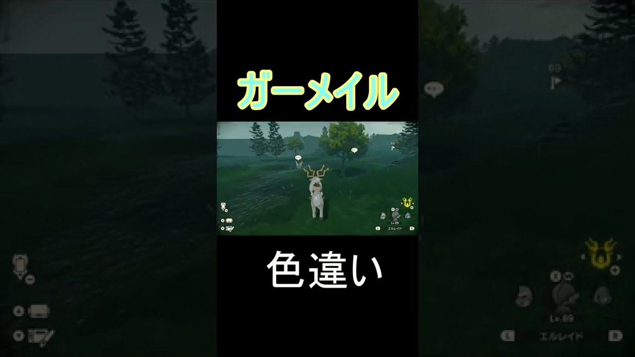 【ポケモンレジェンズアルセウス】大量発生　色違い　ガーメイル　#shorts