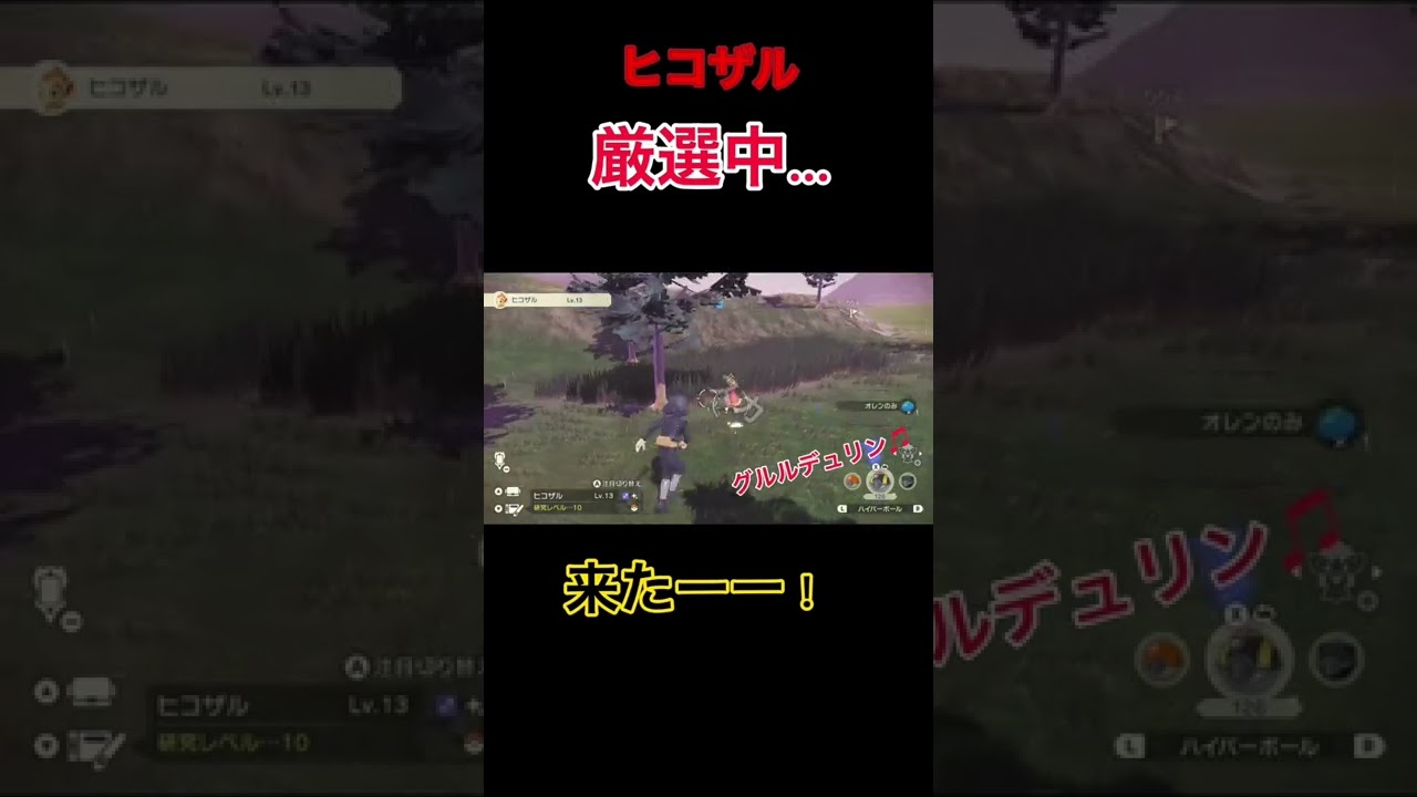 【Pokémonアルセウス】ヒコザル色違い来たー！