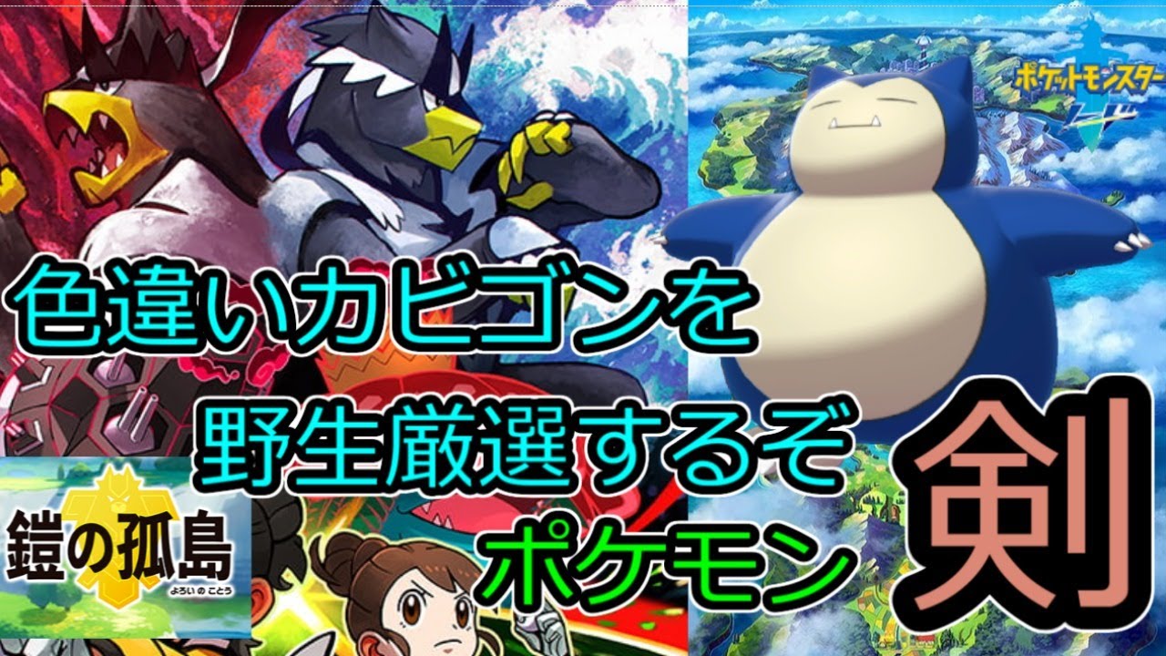 【野生証色厳選】色違いのシードラ→カビゴンを厳選するぞ　その5【ポケモン ソード】