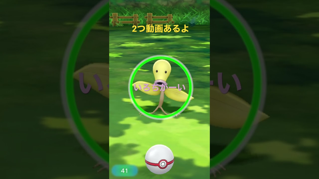 ［ポケモン］闇の石入手とマダツボミ#short#闇の石#ヤミの石#やみの石#マダツボミ#色違い#ダイパ#ピカブイ#2本#2つ動画#2本short