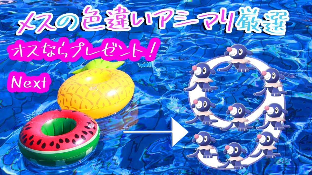 【アシマリ♀色違い厳選】あたい、気長に待つわ【♂ならプレゼント！】
