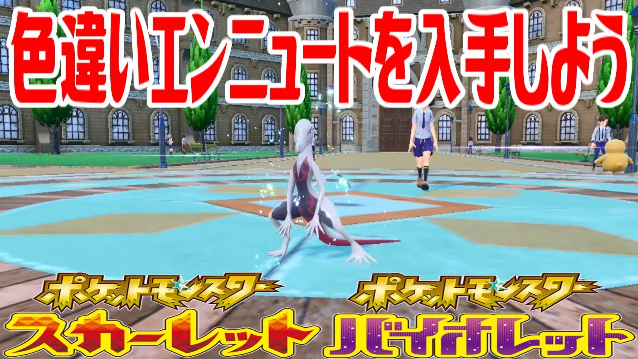 【ポケモンSV】色違いエンニュートを入手しよう 進化入手【ポケットモンスター スカーレット・バイオレット】Pocket Monsters