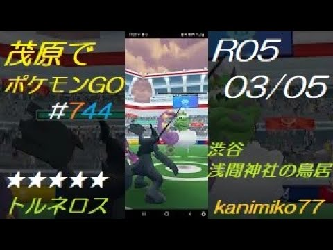 茂原でポケモンGO #744