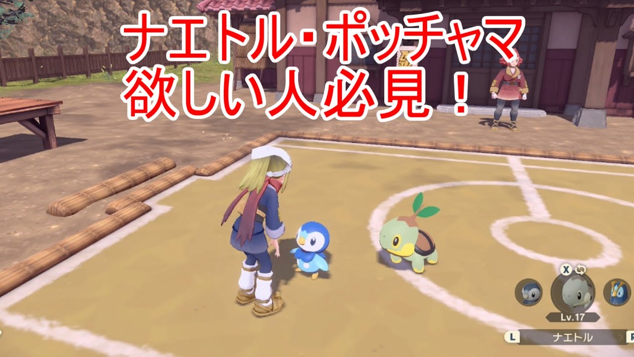 【レジェンズアルセウス】ポッチャマとナエトルの出現場所・入手方法解説！【Pokémon LEGENDS アルセウス】【攻略】【ポケモンアルセウス】【ゲット方法】【御三家】
