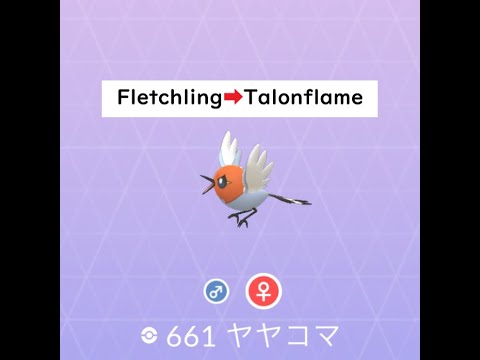 【Pokémon GO】Evolution ＃661 ヤヤコマ ★Not shiny★ #Shorts