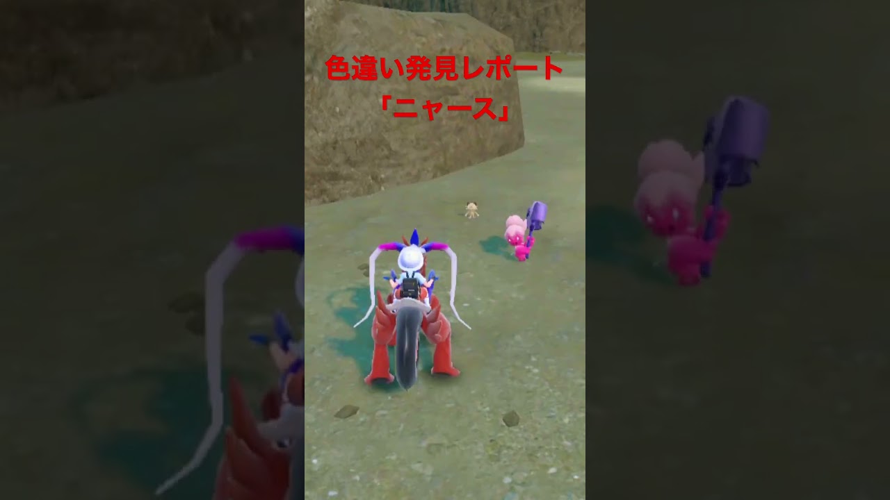 ポケモンSV色違い発見レポート「ニャース」