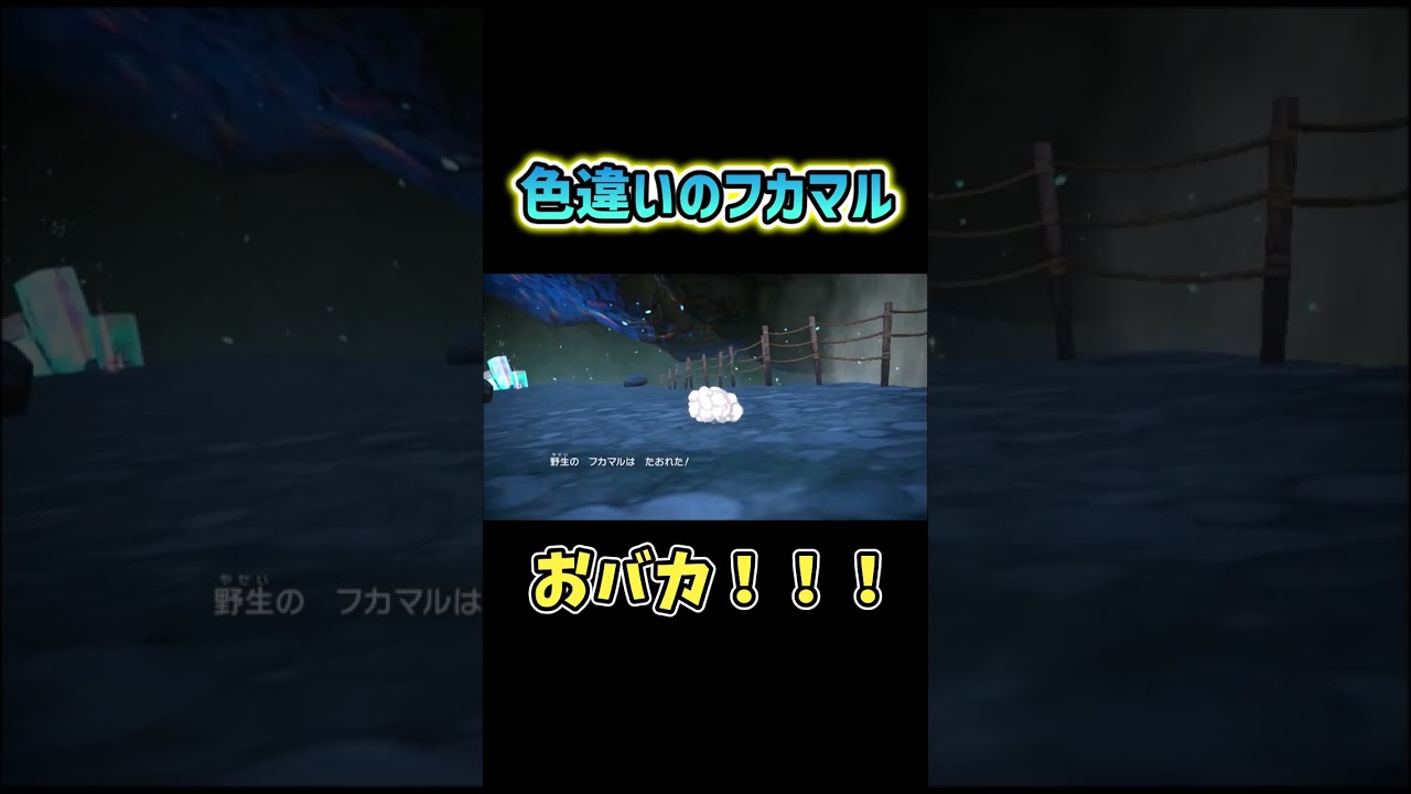 【ポケモンSV】色違いフカマルと出会ったら #shorts