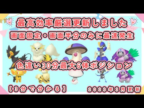 3分で分かる色違い最高効率厳選コリンク・ガーディ・タマゲタケ・コマタナ・ヤレユータン30分最大6体ポジ　#ポケモンSV #モロバレル #キリキザン #ウィンディ #レントラー #ドドゲザン