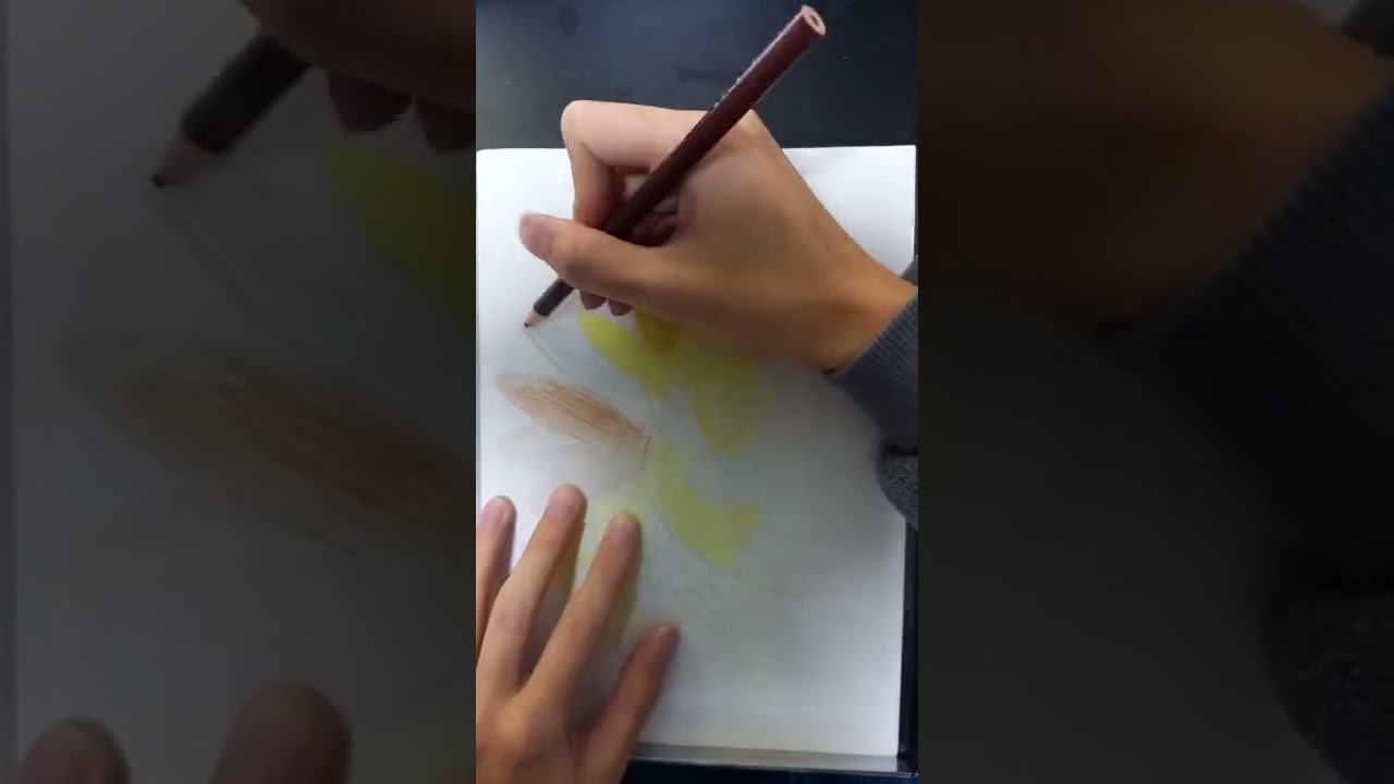 【初代151匹】ポケモン描けるかな？ 【58匹目 サンドパン Sandshrew】 #Shorts