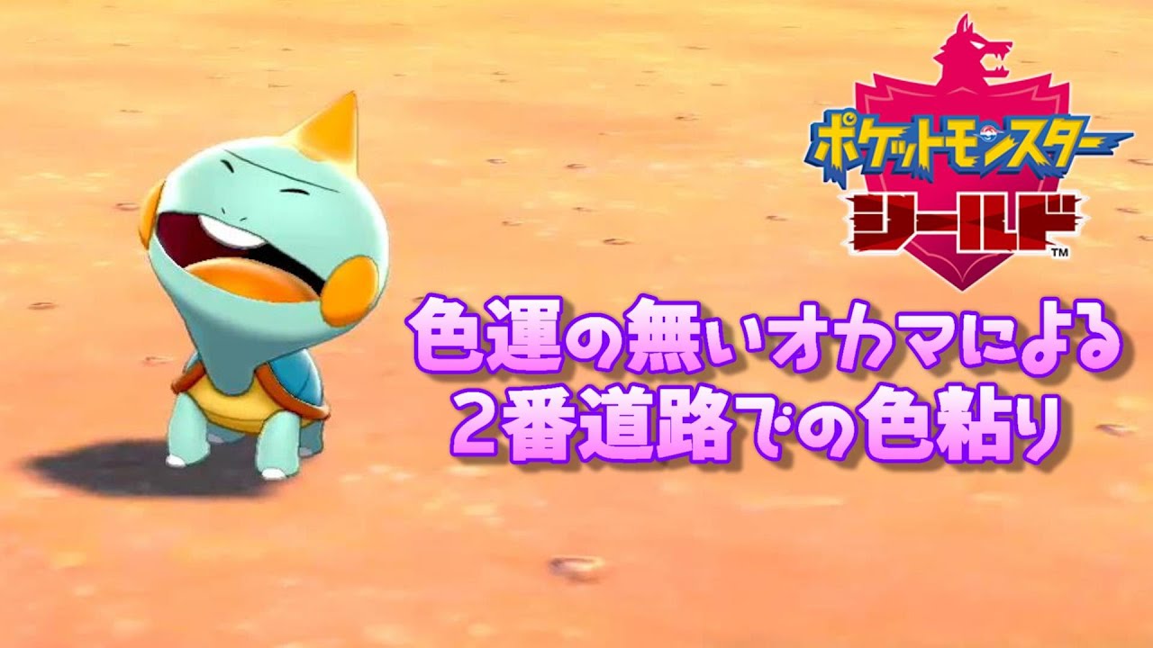 色運の無いオカマが2番道路でカムカメの色粘り！#5