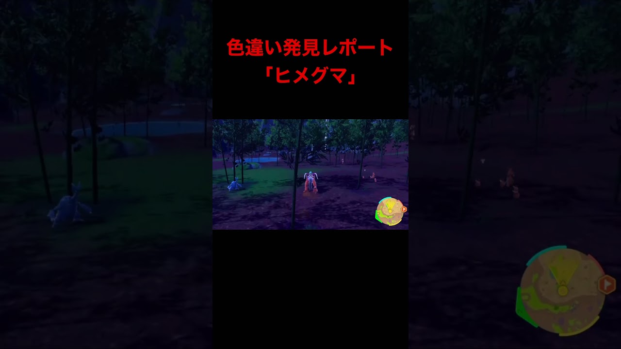 ポケモンSV色違い発見レポート「ヒメグマ」