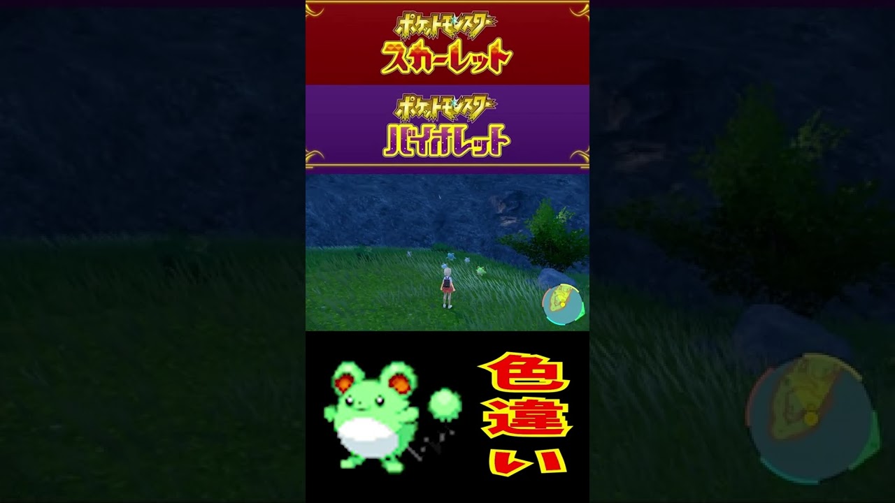 【ポケモンSV】マリルの色違いが可愛すぎて発狂してしまう30代独身男性【ポケモンバイオレットスカーレット】