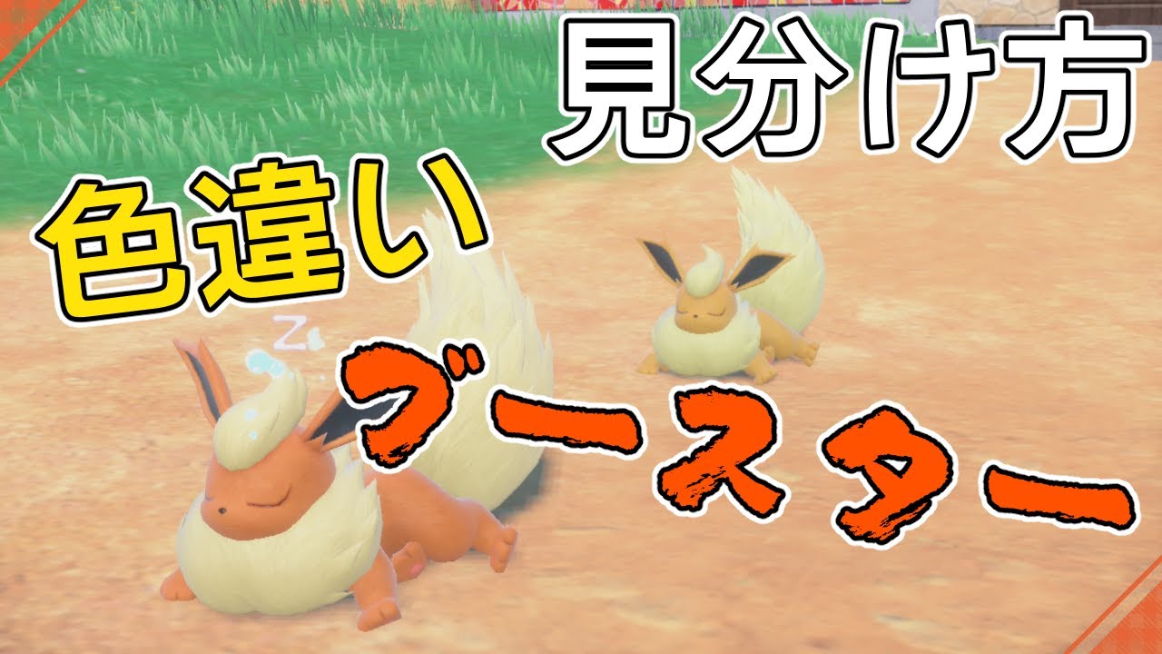 色違いブースターの見分け方【ポケモンSV】