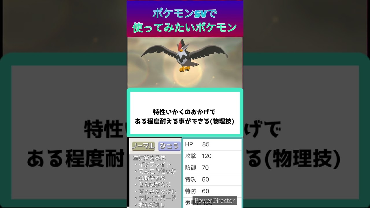 【ポケモン】ポケモンSVで使ってみたいポケモン！ムクホーク編