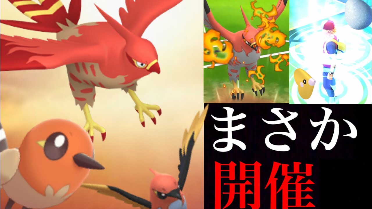 【ポケモンGO】予想外の展開！？まさかのヤヤコマが３月のコミュデイ決定か！特別技はどうなる・・？【バレンタイン・フィールドリサーチ】