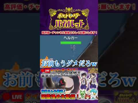 【ポケモンSV】自ら水浸しになってまで戦おうとする無謀なヘルガーに出会った男 #shorts