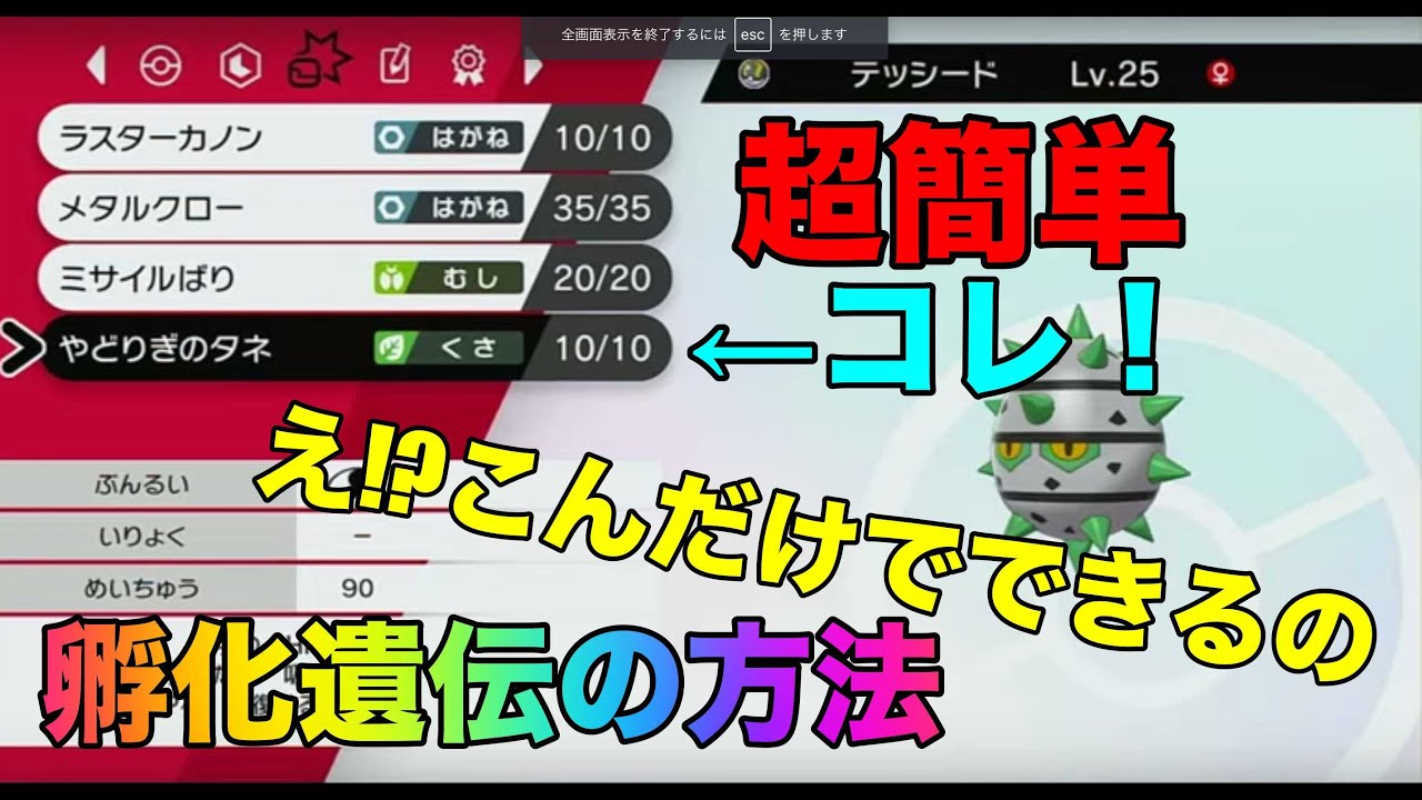 【ポケモン剣盾育成】孵化遺伝技が超簡単に！実際にできるか検証！ポケモンソード・シールド実況プレイ