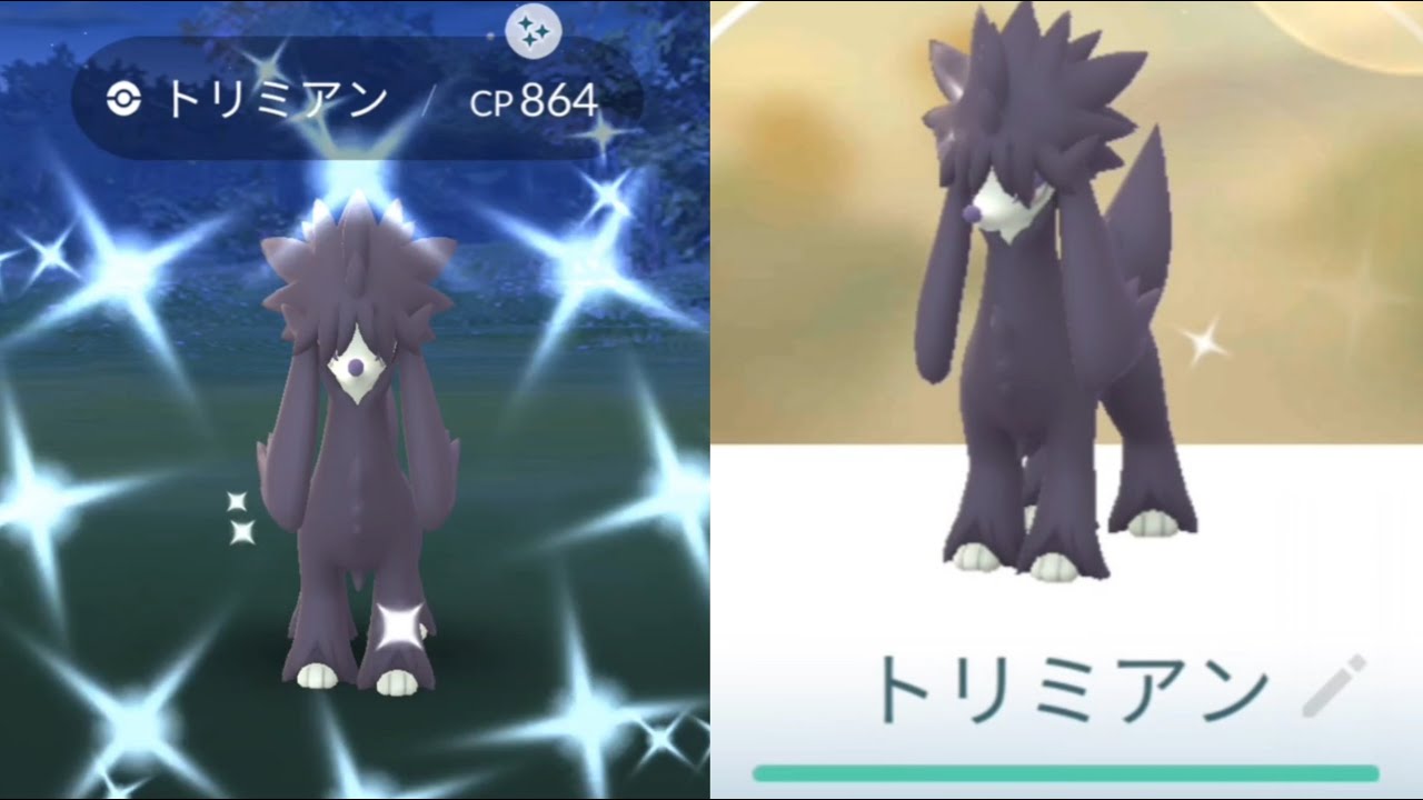 【プードルポケモン】色違いトリミアン出たけど個体値が壊滅的すぎた…。ポケモンGO/ファッションウィーク2022/shorts