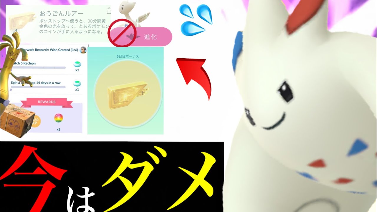 【判明・リーク情報】今は絶対〇〇は待つべき！？おうごんルアーの条件とあの難関タスクの新たな内容も・・？【ポケモンGO・コレクレー・続行リサーチ・コミュデイ・トゲチック】