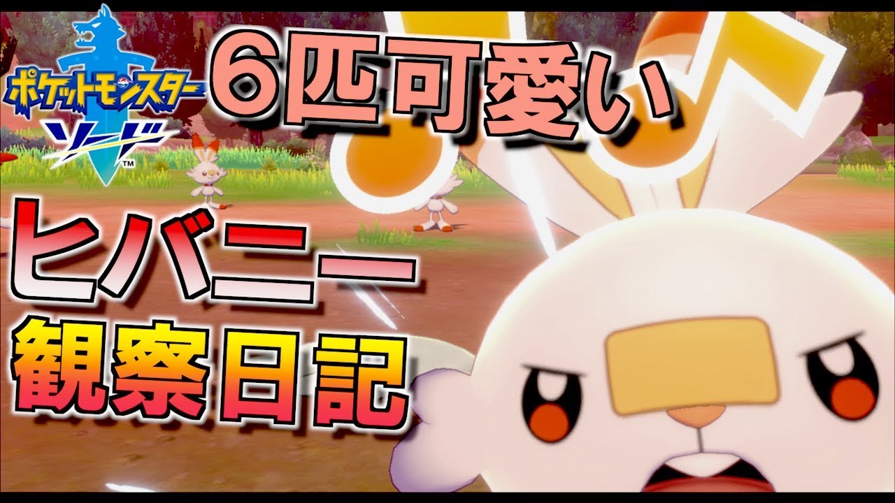 ヒバニー観察 ６匹放し飼いしてみた！！可愛い(*´﹃`*)【 ポケモン剣盾 】