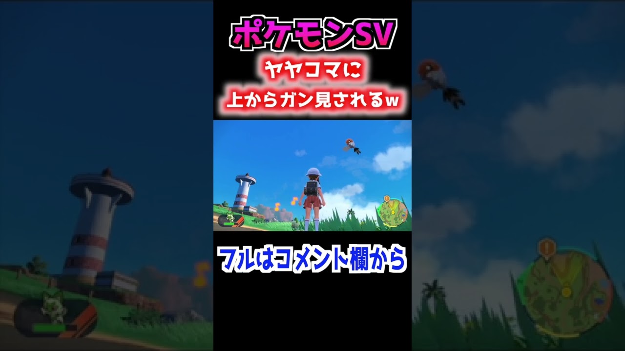 【ポケモンSV】ヤヤコマに上からガン見される少女… ＃shorts
