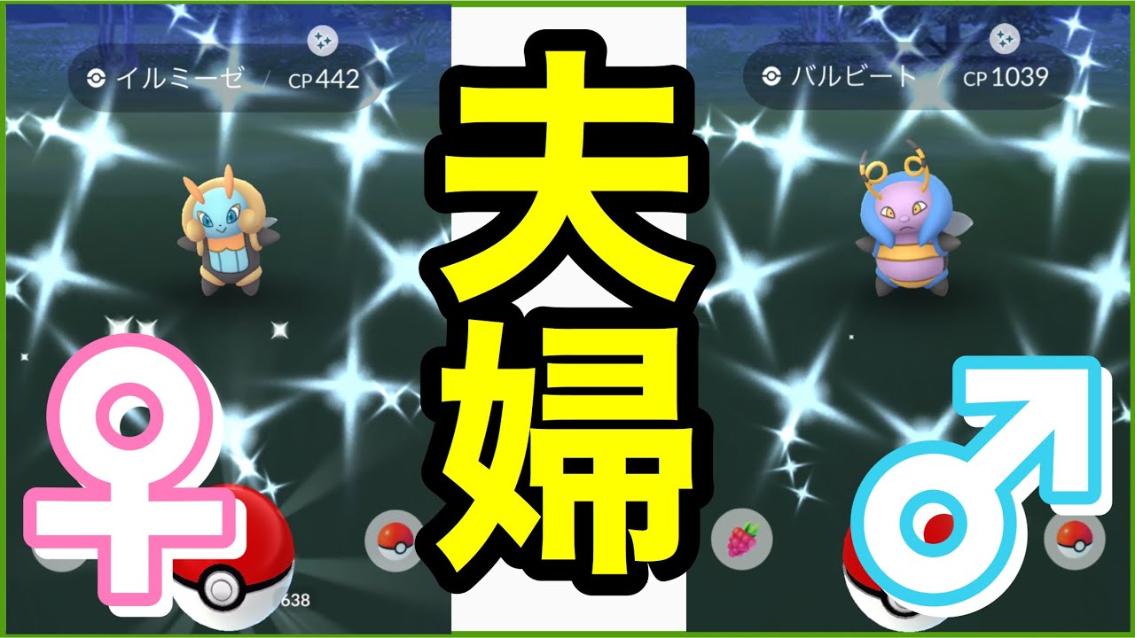 イルミーゼ・バルビート夫婦を色違いでGETしてみた　　　　　　　　　　　　　　　　　　　　　　　　　　　　　【ポケモンGO】127
