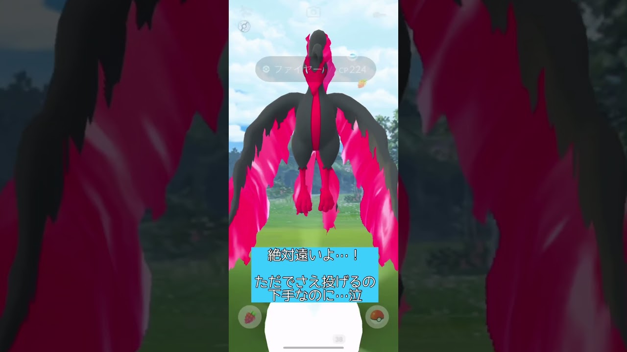 【ポケモンGO】ガラルファイヤーだけ距離遠くない？？【おさんぽおこう】 #shorts