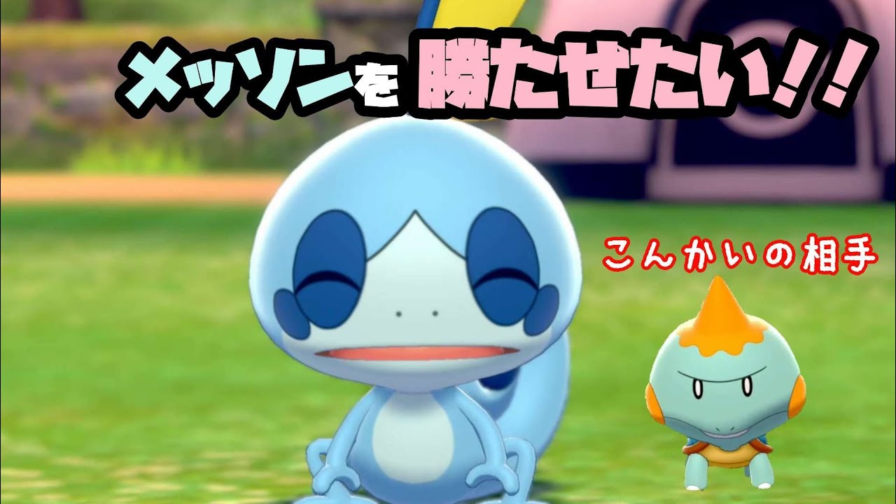 【メッソンを勝たせたい】カムカメ編