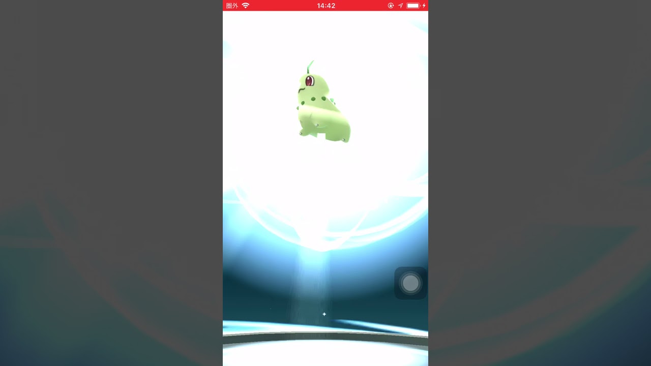 【ポケモンGO】大好きなチコリータを進化させた