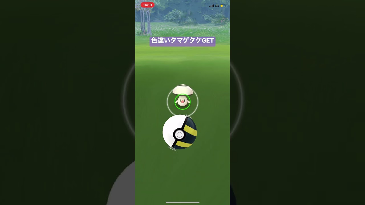 ポケモンGO色違いタマゲタケGET