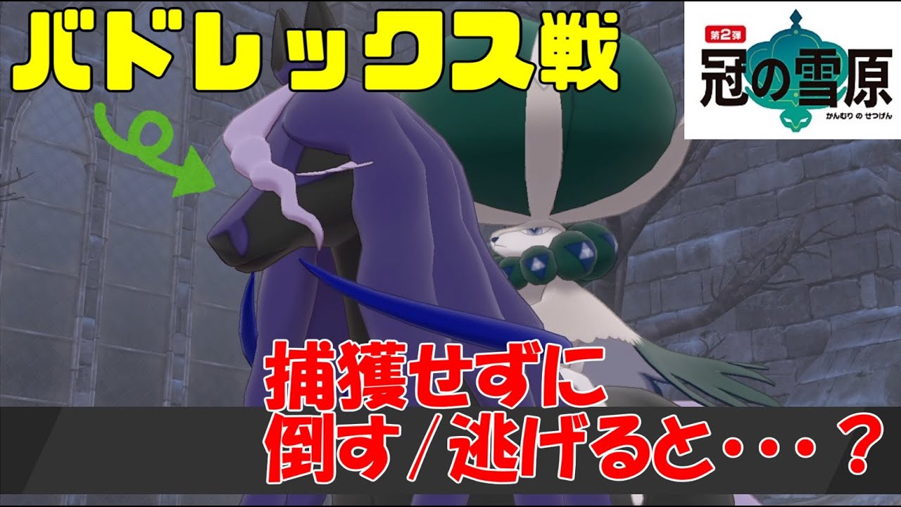 【冠の雪原】伝説バドレックス/レイスポスを倒す(逃げる)と〇〇になる！？【ポケモン剣盾】 Calyrex Battle Escape