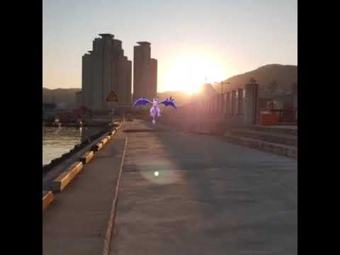 메가프테라 ( Mega Aerodactyl ) メガプテラ ( 化石翼龍 )