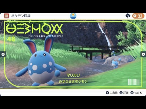 【23位まで】マリルリが強すぎて無敗で順位を爆上げしてしまった【ポケモンSV】