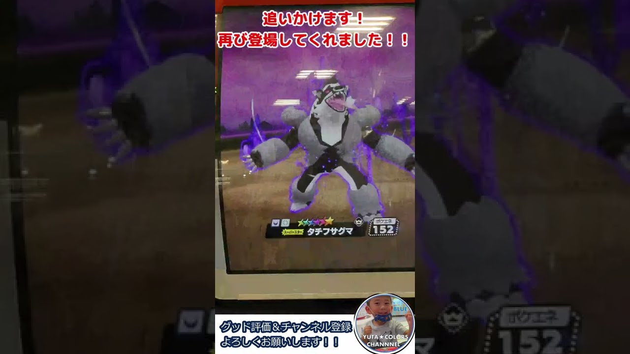 メザスタ DC1だん　あのレア枠のタチフサグマに「どうくつ」で遭遇！！スーパースターポケモンゲット！ダブルタグが楽しい！#shorts #メザスタ #DC1だん