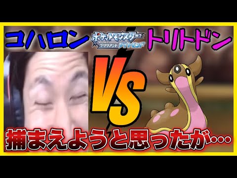 【コハロン切り抜き】トリトドンを捕まえようとするがまさかの…www/【無限じこさいせい】/【顔芸】