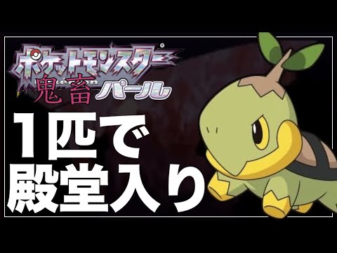 【縛りプレイ】ナエトル1匹でパールを殿堂入りした男【ポケモンDPt】