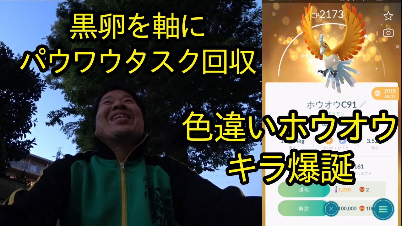 【ポケモンGO】黒卵を軸にパウワウタスク進行、そして色違いホウオウのキラ爆誕！