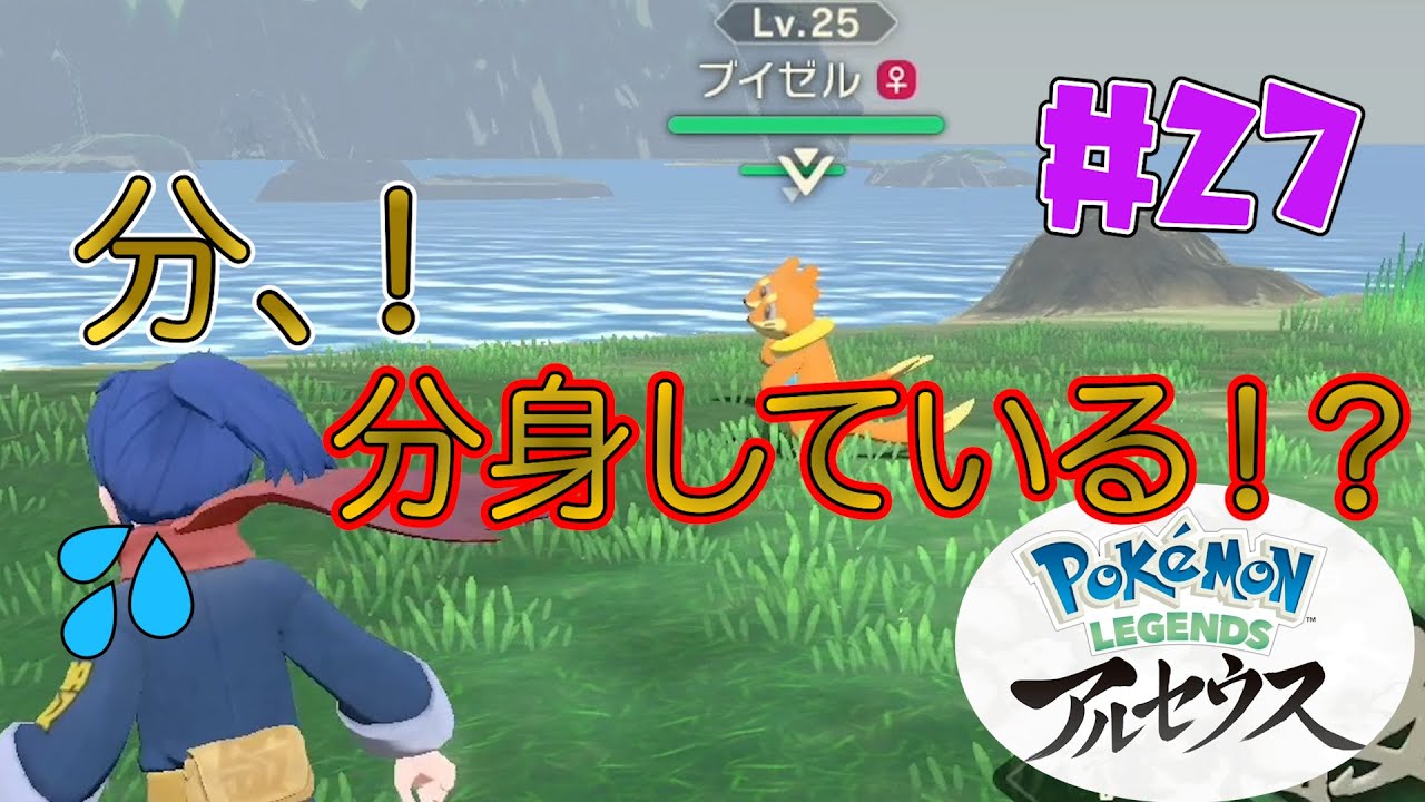 【ポケモン アルセウス】#27 ブイゼル、影分身を覚えるの巻、、、【Pokémon LEGENDS アルセウス】
