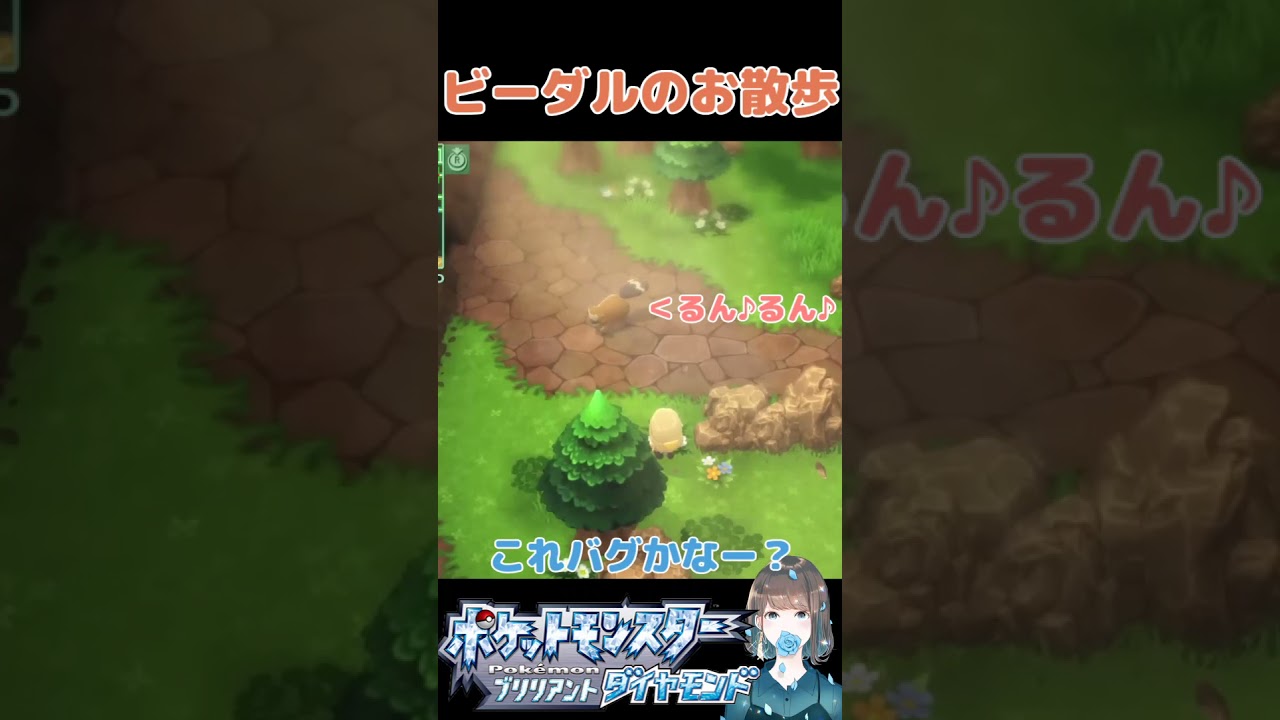 ビーダルのお散歩。ビーダル歩いてるのかわいい。【ポケモンBDSP】　#Shorts
